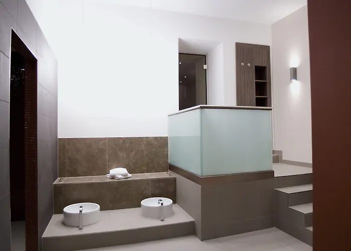 راديسون بلو شفارتزر بوك 4* فيسبادن